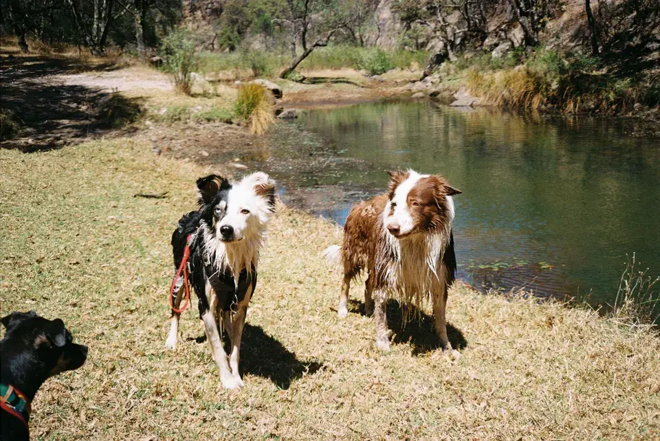 window installation Midway